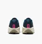 Кроссовки мужские Nike Downshifter 13 Blue FD6454-405