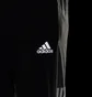 Штаны мужские Adidas Own The Run Astro Pants Black GT8937