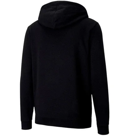 Толстовка мужская Puma Teamgoal 23 Casuals Hoodie Black 656708-03