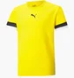 Футболка детская Puma Teamrise Jersey Yellow 704938-07