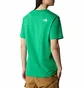 Футболка чоловіча The North Face T-Shirt Berk.Californias Optic Eme Txh Green NF0A87U5PO8