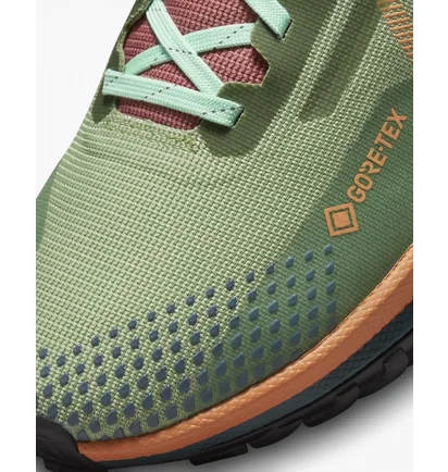 Кроссовки женские Nike Pegasus Trail 4 Gore-Tex Green Dj7929-300