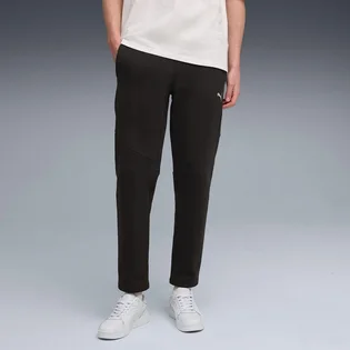 Штани чоловічі Puma Evostripe Pants Dk Black 688234-01