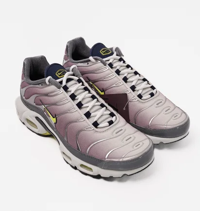 Кроссовки женские Nike Air Max Plus Violet Dust Womens Lifestyle Shoe Violet/White FN8007-500