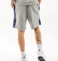 Шорты мужские Nike M Sp Short Ft Grey FZ4708-063