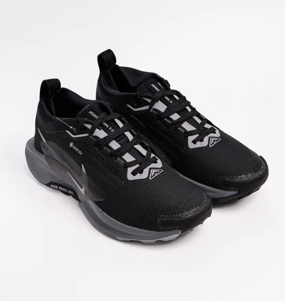 Кросівки жіночі Nike Pegasus Trail 5 Gore-Tex Black FQ0912-001