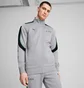 Олімпійка чоловіча Puma Mercedes-Amg Petronas F1® Mt7+ Track Jacket Grey 627316-02
