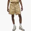 Шорты мужские Air Jordan Flight Mvp Beige DX9726-252