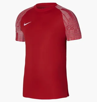 Футболка чоловіча Nike Dri-Fit Academy Red DH8031-657