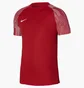 Футболка мужская Nike Dri-Fit Academy Red DH8031-657