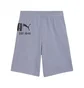 Шорти чоловічі Puma Sport Graphic Grey 692232-65