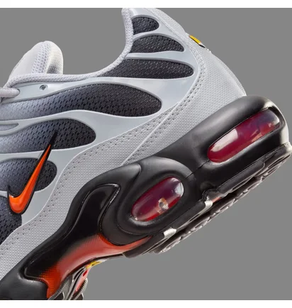 Кросівки чоловічі Nike Air Max Plus Wolf Grey DM0032-011