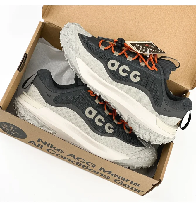 ᐉ Кроссовки мужские Nike Acg Mountain Fly 2 Low Gore-Tex Grey