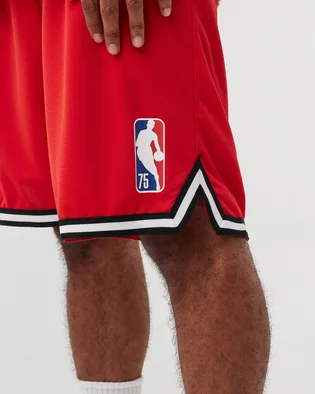 Шорты мужские Nike Chicago Bulls Red DB1795-657