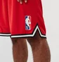 Шорти чоловічі Nike Chicago Bulls Red DB1795-657
