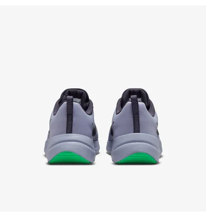 Кроссовки мужские Nike Downshifter 12 Grey DD9293-500