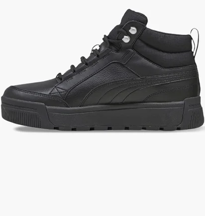 Кроссовки мужские Puma Tarrenz Sb Iii Puretex Black 393930-01