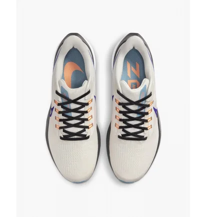 Кросівки жіночі Nike Pegasus 39 White Dh4072-006