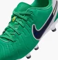 Бутсы детские Nike Legend 10 Academy Fg/Mg Lv8 Green HJ7190-300