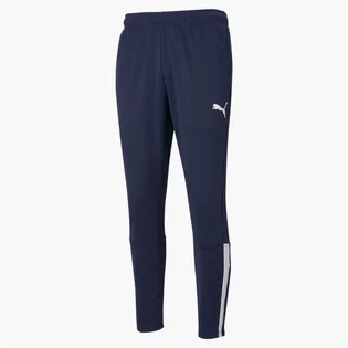 Штаны мужские Puma Teamliga Blue 657242-06