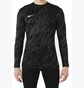 Лонгслив мужской Nike Dri-Fit Gardien V Gk Jsy Ls Black/Grey FD7474-060