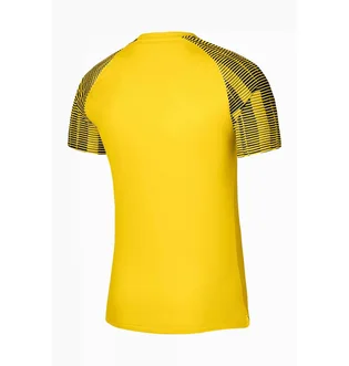 Футболка мужская Nike Academy Jsy Ss Yellow Dh8031-719