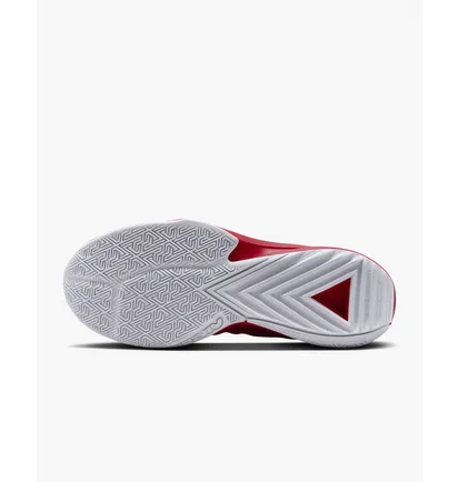Кросівки унісекс Nike Freak 5 (Team) Basketball Shoes Red DZ2946-600