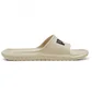Тапочки жіночі Puma Divecat V2 Lite Beige 374823-25