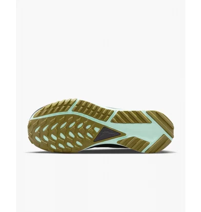 Кроссовки мужские Nike Pegasus Trail 4 Gore-Tex Turquoise DJ7926-301