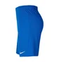 Шорти дитячі Air Jordan Jr Park Iii Knit Blue Bv6865-463