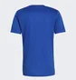 Футболка мужская Adidas Tiro 21 Training Jersey Blue Gm7589
