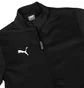 Спортивный костюм детский Puma Teamrise Black 658655-03