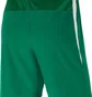 Шорты мужские Nike Df Vnm Short Iii Wvn Green Cw3855-302