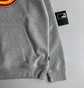 Худі чоловіче Dickies Iconlogo Hodie Grey DK0A4XCBGYM1