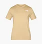 Футболка мужская The North Face Evolution Box Beige NF0A8B6KBOX