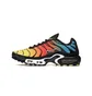 Кроссовки мужские Nike Air Max Plus MenS Shoes Black/Multi HV2526-001