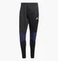 Штаны мужские Adidas Tiro 23 Competition Winterized Black IL7263