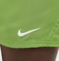 Шорты мужские Nike Court Victory Dri-Fit 7 Tennis Shorts Green FD5380-350