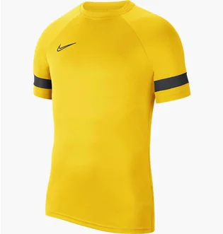 Футболка чоловіча Nike Academy 21 Dry Ss Tee Yellow Cw6101-719