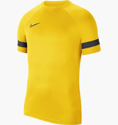 Футболка чоловіча Nike Academy 21 Dry Ss Tee Yellow Cw6101-719