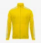 Куртка мужская Adidas Squadra 21 Presentation Jacket Yellow GP6448