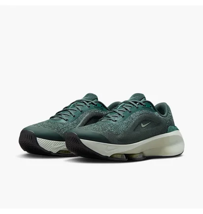 Кросівки жіночі Nike W Versair Grey/Green DZ3547-300