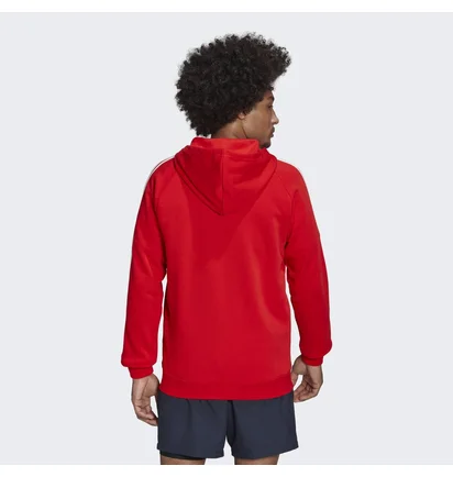 Толстовка мужская Adidas Fc Bayern Dna Full-Zip Hoodie Red Hf1356