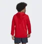 Толстовка мужская Adidas Fc Bayern Dna Full-Zip Hoodie Red Hf1356