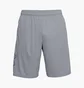 Шорты мужские Under Armour Tech Graphic Pocketed Grey 1306443-035