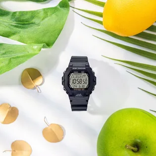 Часы унисекс Casio Standard LWS-2200H-1A