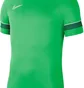 Футболка мужская Nike Academy 21 Dry Ss Tee Green Cw6101-362