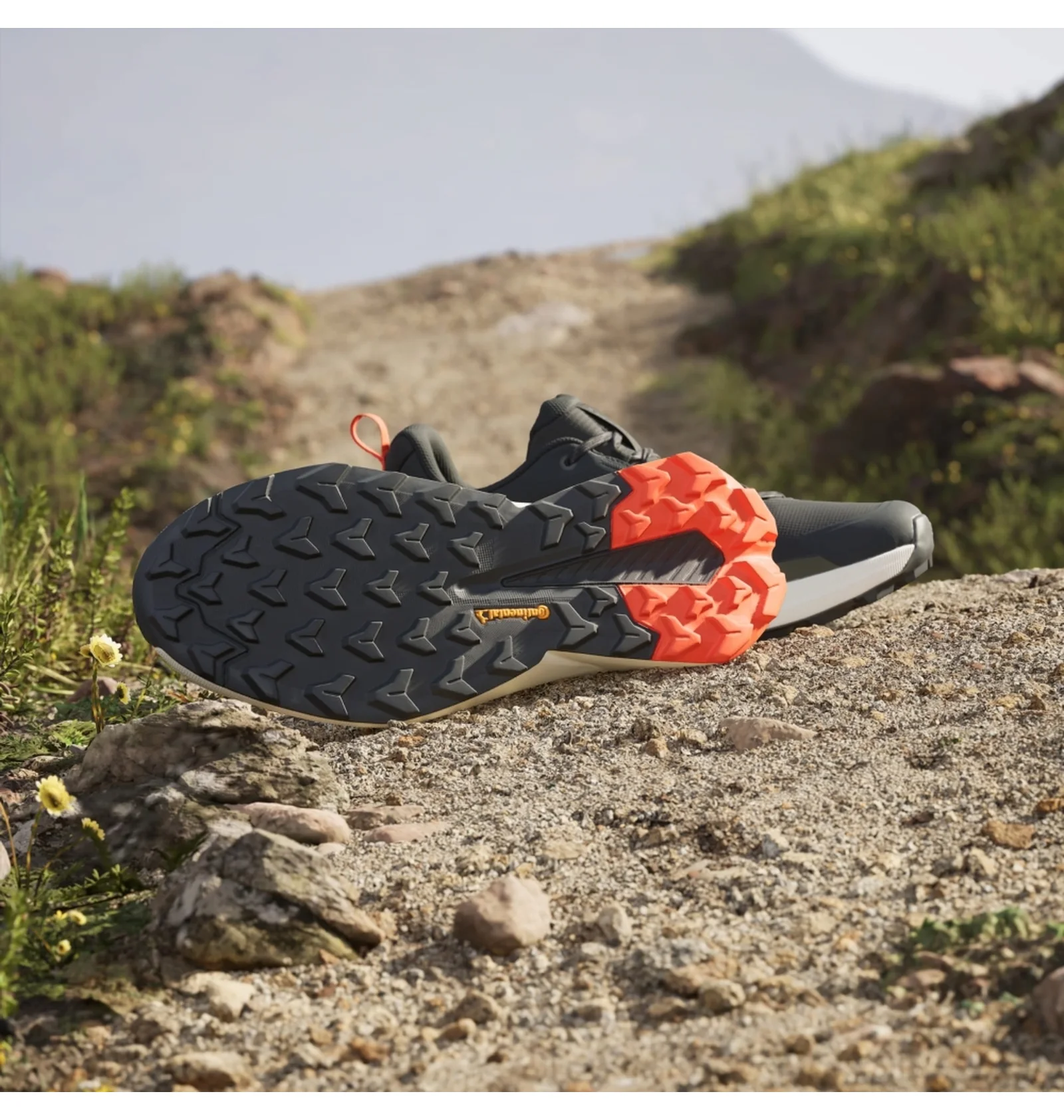 ᐉ Кросівки чоловічі Adidas Terrex Trailmaker 2.0 Gore-Tex Hiking
