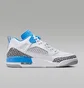 Кроссовки мужские Air Jordan Spizike Low White FQ1759-141