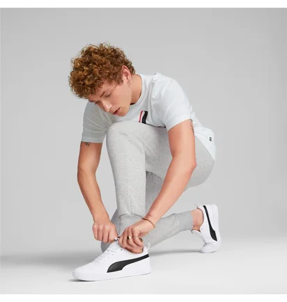 Штаны мужские Puma Essentials+ 2 Col Logo Grey 586767-04